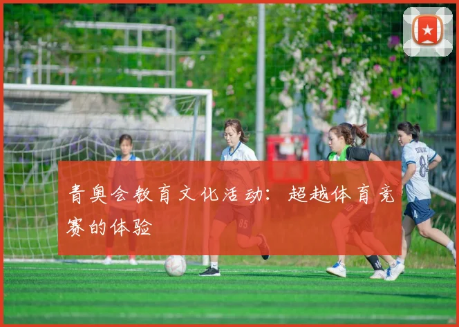 青奥会教育文化活动：超越体育竞赛的体验