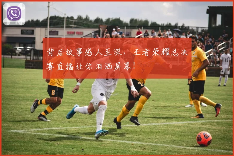 背后故事感人至深，王者荣耀总决赛直播让你泪洒屏幕！