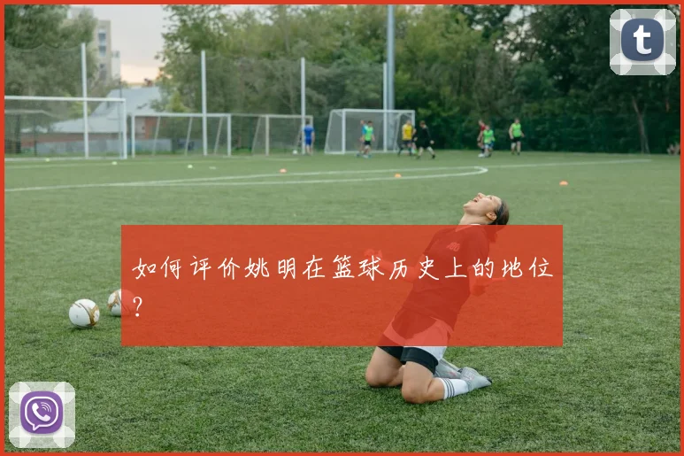 如何评价姚明在篮球历史上的地位？