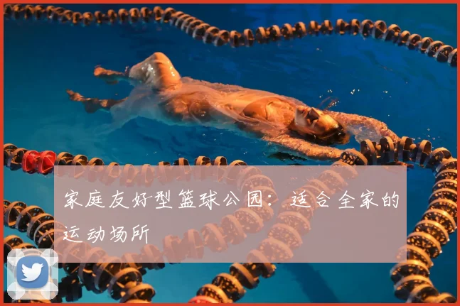 家庭友好型篮球公园:适合全家的运动场所